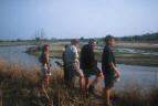 on the banks of the Mwaleshi River